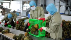 EVFTA 对越南农业带来许多挑战