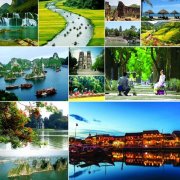 赴越南的外国游客量近1300万人次
