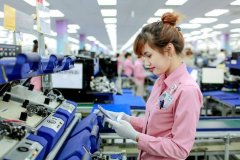 今年前十个月越南工业加工产品出口额达1830亿美元