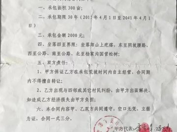 河南洛宁：吕村阳山组单方撕毁承包合同 承租人12年投入血本无归